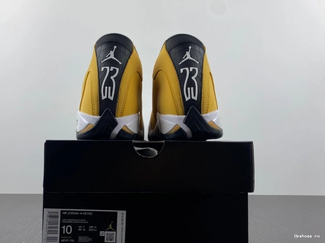 Light Retro 487471-701  Ginger Jordan 14 0930
